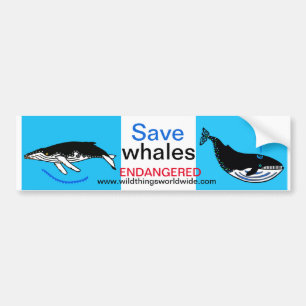 Endangered animal -  Save WHALES -Wildlife -Nature Bumper Sticker
