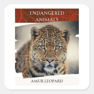 Endangered Animals - Amur Leopard Square Sticker