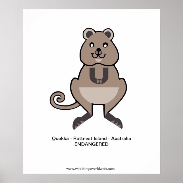 Endangered Aussie animal -QUOKKA - poster (Front)