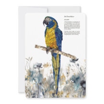 Endangered Blue-Throated Macaw Watercolours