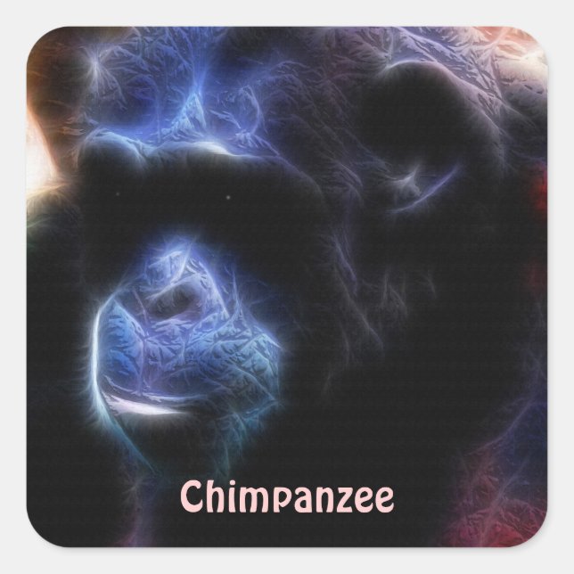 Endangered Chimpanzees African Wildlife Sticker (Front)