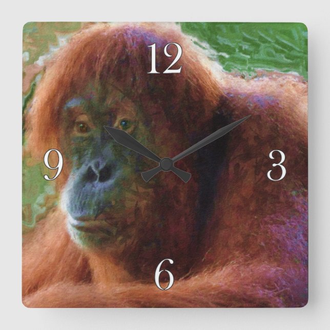 Endangered Female Orangutan Primate Wildlife Art Square Wall Clock (Front)
