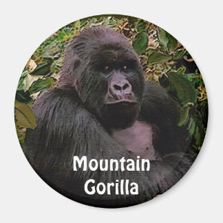 Endangered Mountain Gorilla Great Apes Art Magnet