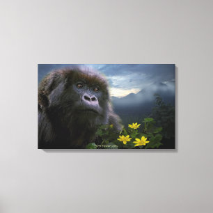 Endangered Mountain Gorilla named "HOPE" Art Canvas Print