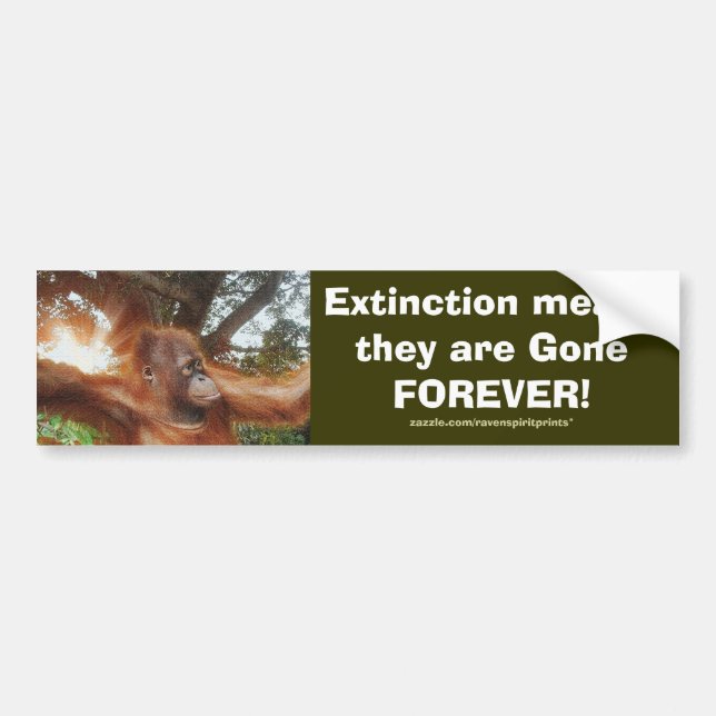 ENDANGERED ORANGUTANS Bumper Sticker Series (Front)