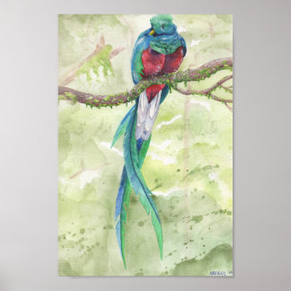Endangered Quetzal Poster