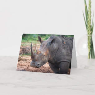 Endangered rhino, South Africa Holiday Card