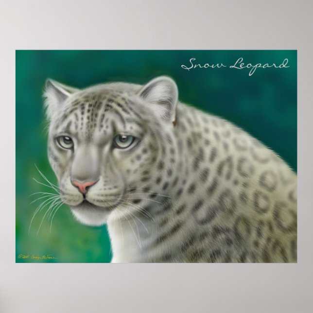 Endangered Snow Leopard Poster (Front)