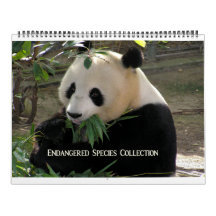 Endangered Species Collection 12-Month Calendar