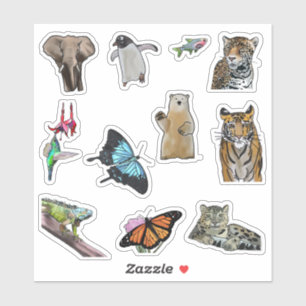 Endangered Species Colour Me Wild Vinyl Sticker