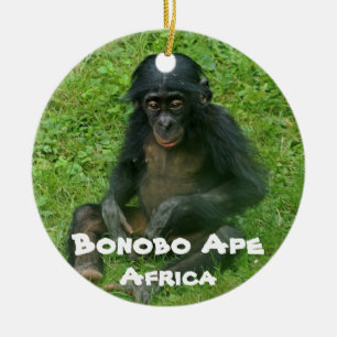 Endangered Species Series Bonobo Ape Ceramic Tree Decoration