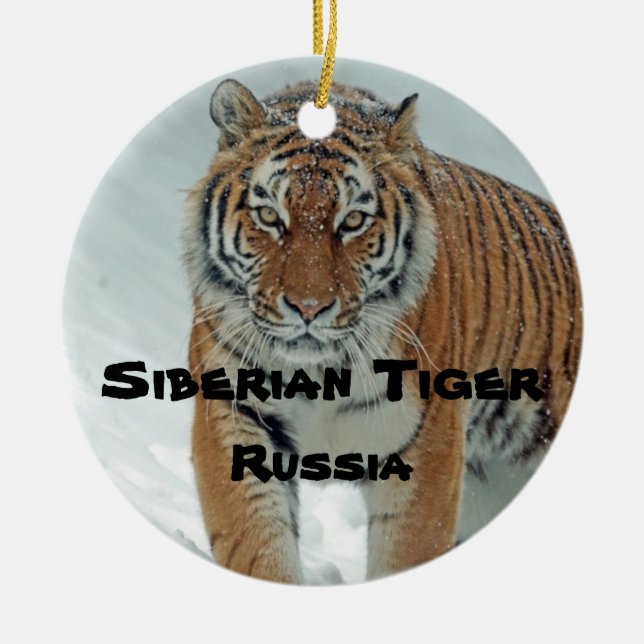 Endangered Species Series Siberian Tiger Ornament (Front)