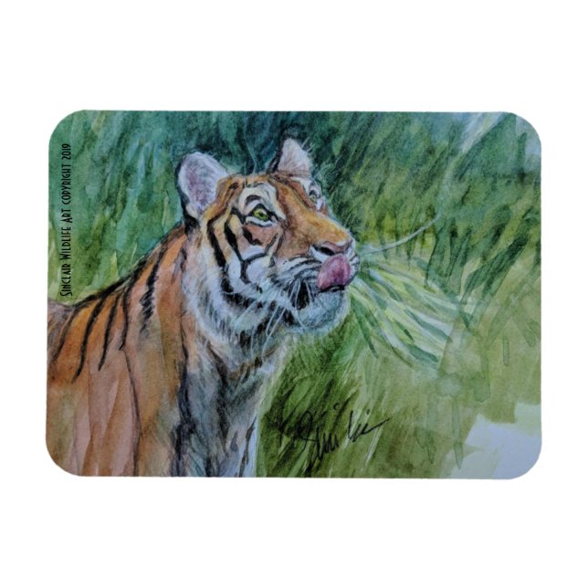 Endangered Tiger Magnet (Horizontal)