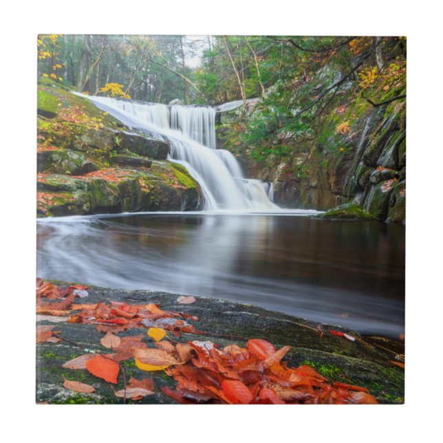 Ender's Falls in Fall Tile (Front)