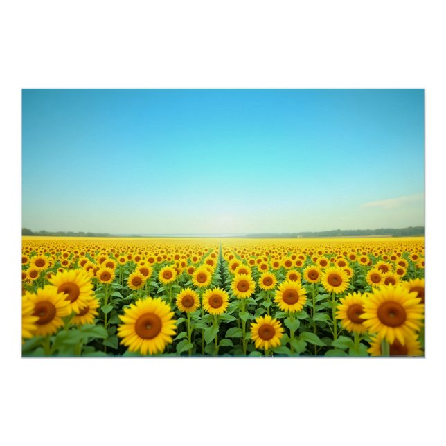 Endless Sunflower Field Under Blue Summer Sky Poster (Front)