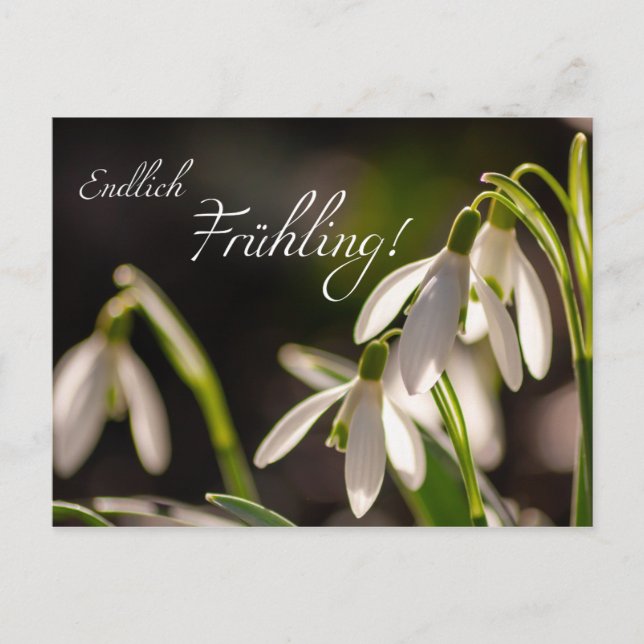 Endlich Frühling! Postcard (Front)