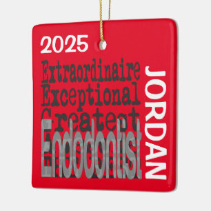 Endodontist Extraordinaire CUSTOM Ceramic Ornament