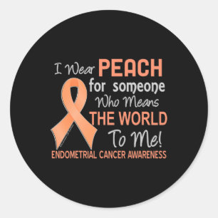 Endometrial Cancer For Someone Who Means World To Classic Round Sticker