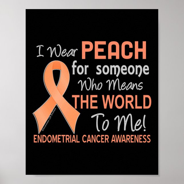 Endometrial Cancer  For Someone Who Means World To Poster (Front)