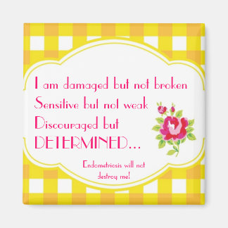 Endometriosis Magnet