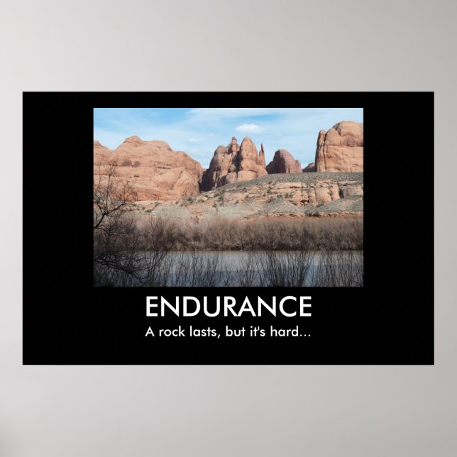 ENDURANCE Demotivational Poster (Front)