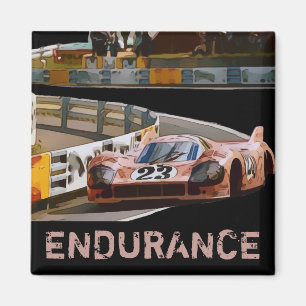 ENDURANCE MAGNET