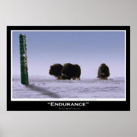 "ENDURANCE" Musk Oxen & Totem Pole Art  Poster