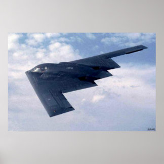 ENDURING SPIRIT POSTER