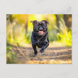 Energetic Pug Running Through Forest Postcard