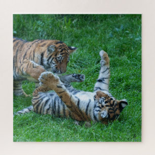 Energetic Tiger Cubs Jigsaw Puzzle