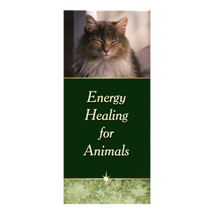 Energy Healing for Animals Rack Card
