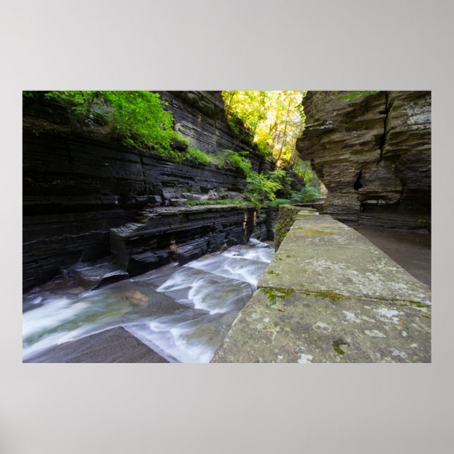 Enfield Glen, Robert H Treman State Park, NY Poster (Front)