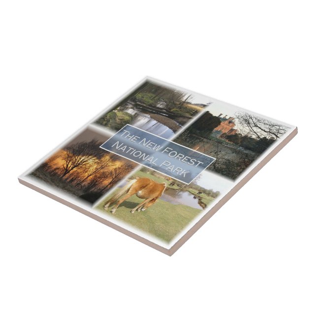 ENG041 THE NEW FORET NATIONAL PARK England, Tile (Side)