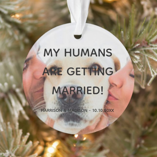 Engagement announcement custom photo dog couple ornament (Tree)