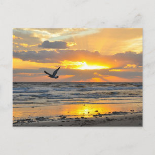 Engagement Proposal Sunrise on the Beach Postcard