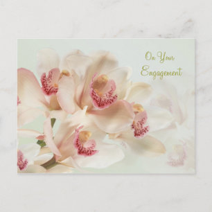 Engagement - Whitw Orchids in full bloom Postcard