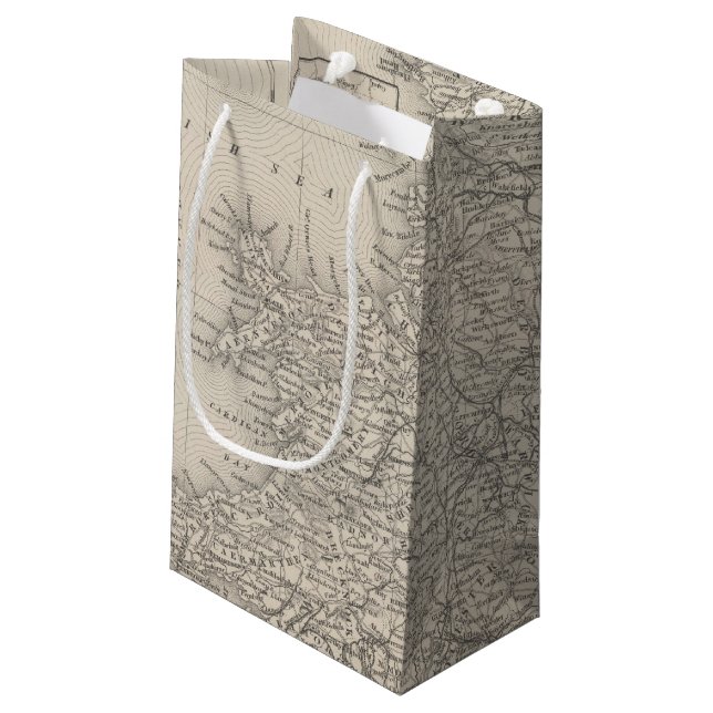 England 10 small gift bag (Back Angled)