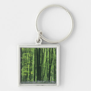 England, Beech forest & Bluebells Key Ring