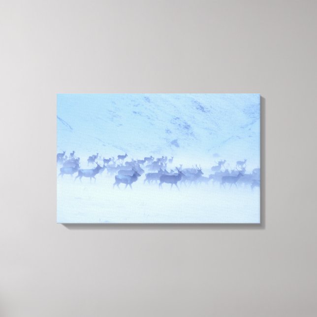 England Canvas Print (Front)