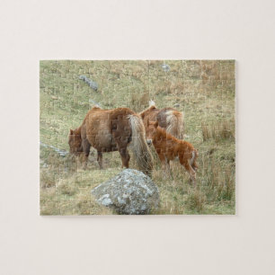 England & Dartmoor Ponnies, Wild Horses /Britain Jigsaw Puzzle