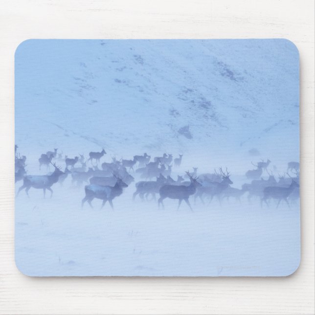 England Mouse Mat (Front)