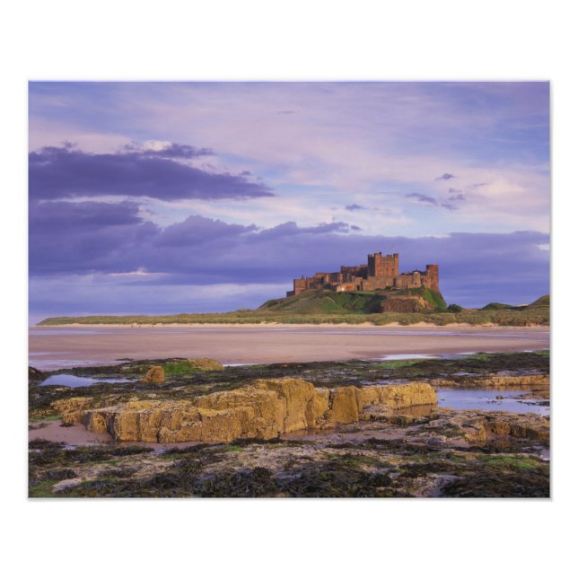 England, Northumberland, Bamburgh Castle Photo Print (Front)