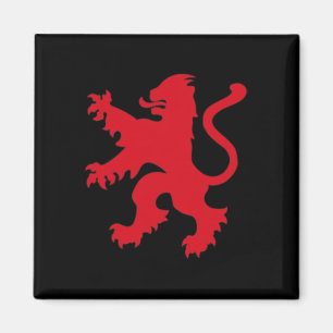 England Soccer Jersey England Footll Team Lion Magnet