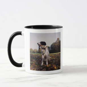 England, St.Albans Mug