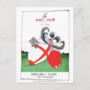 england v wales rugby balls from tony fernandes postcard