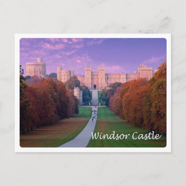 England - Windsor Castle - Postcard (Front)