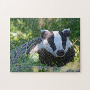English Badger Puzzle