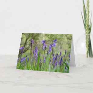 English Bluebell Field Note Card