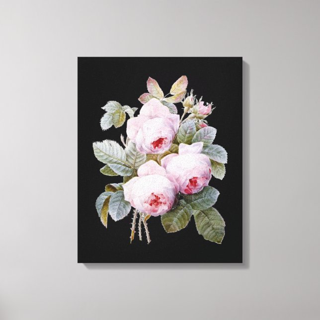 English Bourbon Roses Bouquet on Black by Redoute Canvas Print (Front)