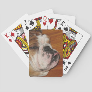 English bull dog deck of playing cards